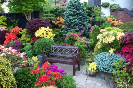 beautiful-home-gardens-seat-amongst-the-azalea